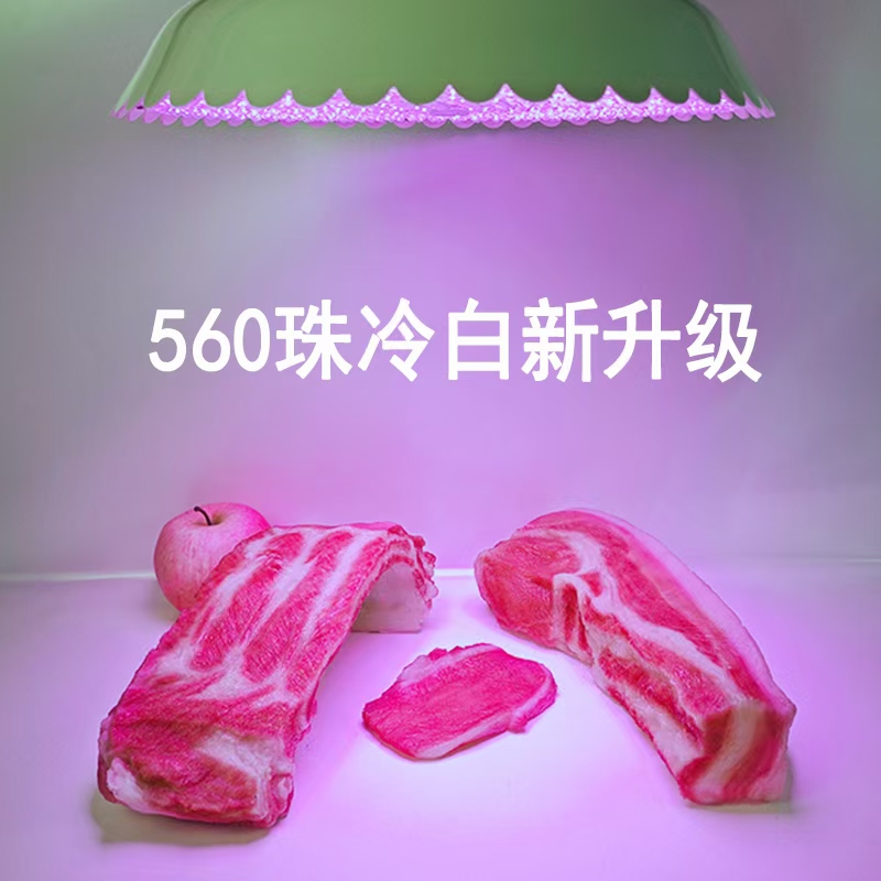 (쿨 화이트 새로운 업그레이드) 560 비드 렌즈 100와트/레드 업그레이드