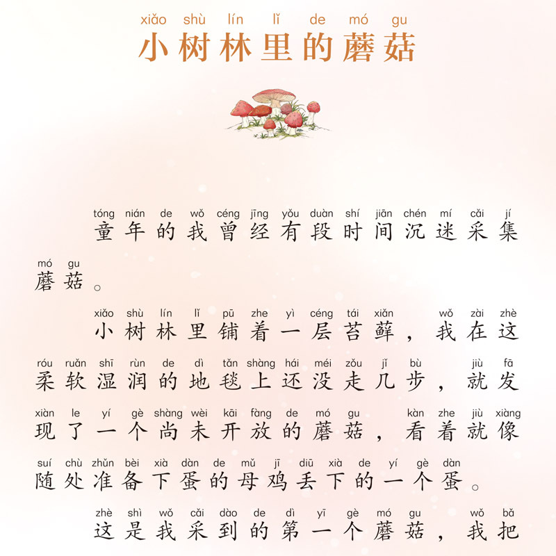 Pedication for children 6 volumes of Boolean primary school students in the third and fourth grads of the next book read this class outside the class 3