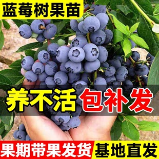 �{ݮ����������{÷���ش�̖�����҃��̨�����ͺ��ϱ����ļ��Y��