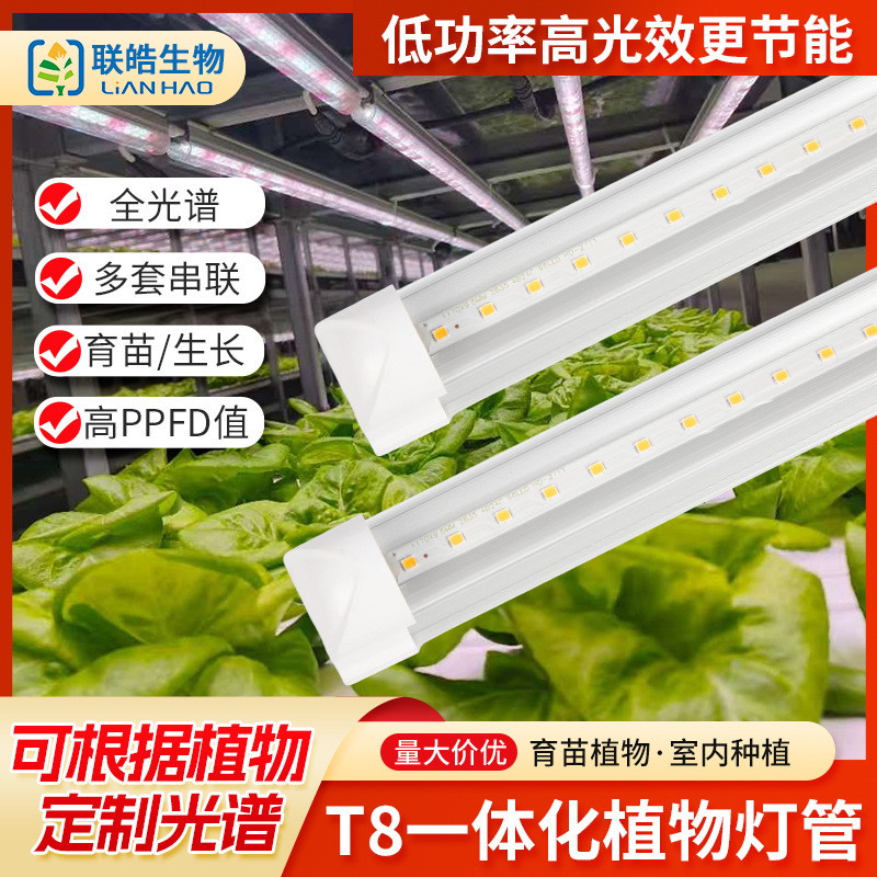 LED plant lamp