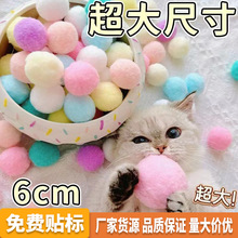 ؈�����6cm�R��ɫë�q���o������������˽␞��؈��؈�䏗����