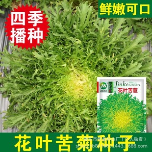 ���~���Ŀ�շN���S�İײ˷N��ԭ�b�ļ��߲˷N�Ӵ�ȫ�˷N�Ӵ����l
