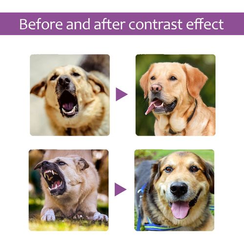 Yegbong Pet Noise Reducing Spray Calms Pet Anxiety, Prevents Stress, Reduces Pet Noise Spray