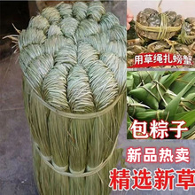 批发香草马莲草咸水草60斤粽绳长绑粽子扎螃蟹草绳产地收购