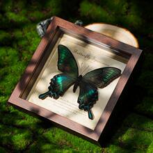 �����˱�����G�������fľ�|���diy�ͶY���նY���п�