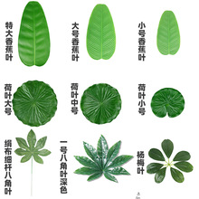 亚马逊仿真八角叶 水果店香蕉叶杨梅叶荷叶鱼池布置餐桌桌垫装饰