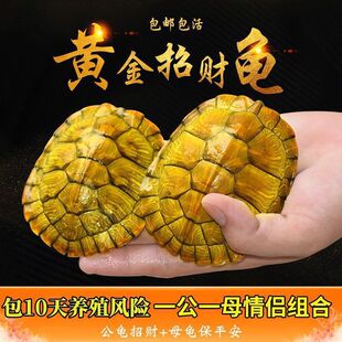 ���������������H�S�����Ќ����^�p�m�ϼ��B�Ľ��XС������