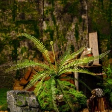 �Gֲ��Ꭷ���ֲ�ʿ�Dާ�҃Ⱦ��^�쾰�L�~�Iާ�ٻ������b�