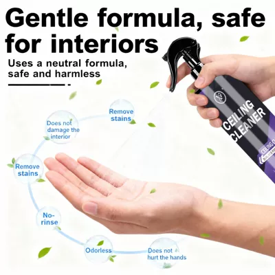 Aliexpress Foreign Trade Car: Cleaning/curing agent