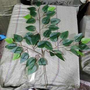 �����Ř��~Ҭ���~ �F���~�ָ��^�z�����Ř�֦�٘�֦�����b��쾰