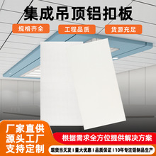 �F؛���l���ɵ���X�۰�300x600����׏N���l���g�컨��������