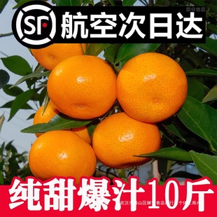 ��������ӿȪ�۽��R������10�����䮔�����rˮ��̨���S������