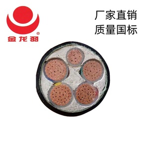������늾���|WDZB-YJY4*300+1*150mm2�͟��o�u��ȼ�~о������|