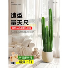 ������������Ɵo���_���͏d����ֲ��W�t���W�L���;Gֲ���Ժ��B