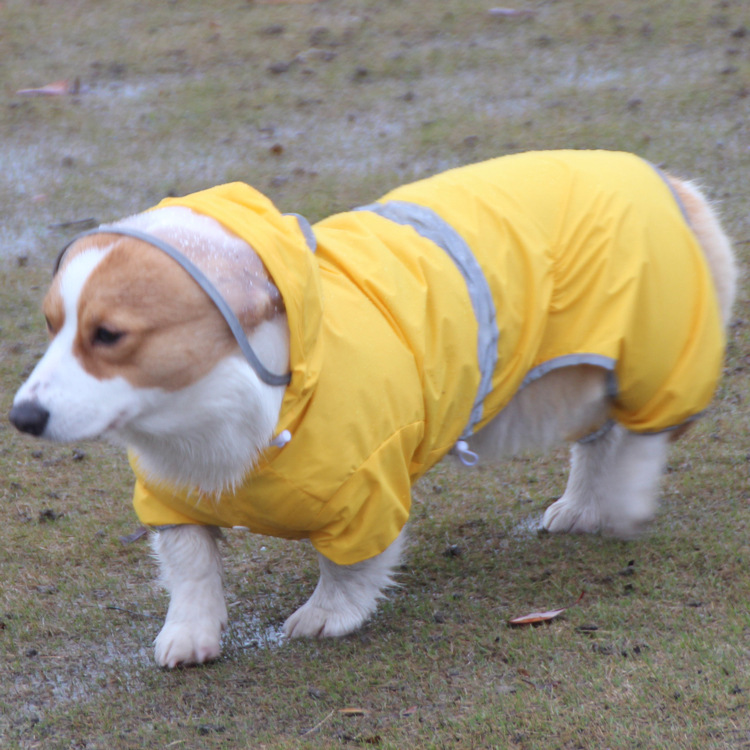 Rainy Day Corgi Dog Clothes Short Reflective Dog Raincoat Full-Body Small Dog Pet Jumpsuit Waterproof Anti-Dirt Pants Rainy Day Corgi Dog Clothes Short Reflective Dog Raincoat Full-Body Small Dog Pet Jumpsuit Waterproof Anti-Dirt Pants