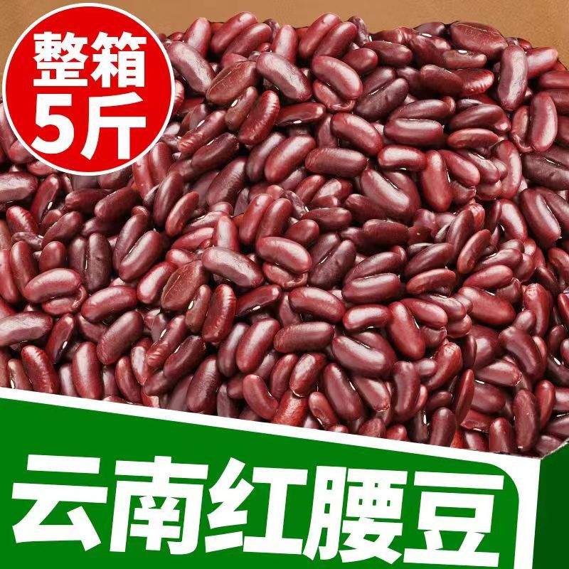 新货云南特产大芸豆农家红芸豆红豆豆沙馅豆浆五谷杂粮粗粮