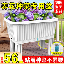 高腳種菜盆陽台蔬菜種植箱長方形塑料家用花盆大號戶外庭院專用盆