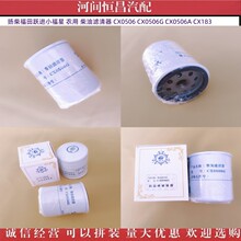 扬柴福田跃进小福星农用柴油滤清器 CX0506 CX0506G 0506A CX183