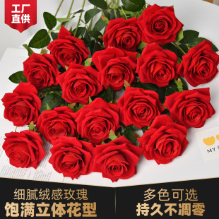 �q�����õ����õ�廨 ��c�����Ҿ��b����˹��ٻ����컨���滨