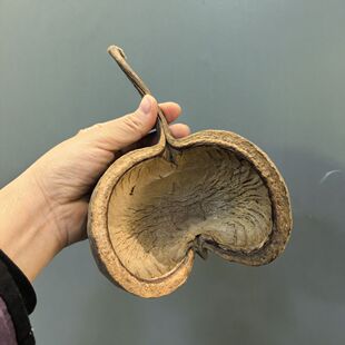��������~���쾰�_��Ц�ɹ����M�ڸɻ��͹�ɭϵ��Ȼֲ���b���