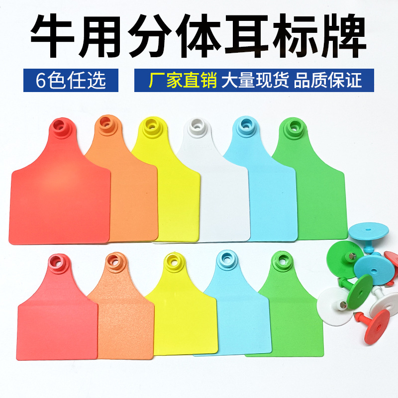 TPU etiqueta de oreja dividida de vaca vaca grande etiqueta de oreja de vaca pequeña etiqueta de oreja de vaca grande y pequeña etiqueta de oreja dividida marca de oreja de vaca