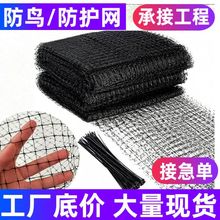 跨境农田鱼塘果园防鸟网绿植防护网葡萄园樱桃园稻谷场尼龙保护网
