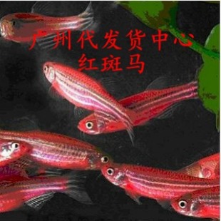 �{���R�~ �t���R�~ �ϰ��R�~ �S���R�~С�͟Ꭷ�~ ���w �Ꭷ�~