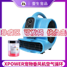 XPOWER��������pt250�����������꾻����ζ���ѭ�����¿���