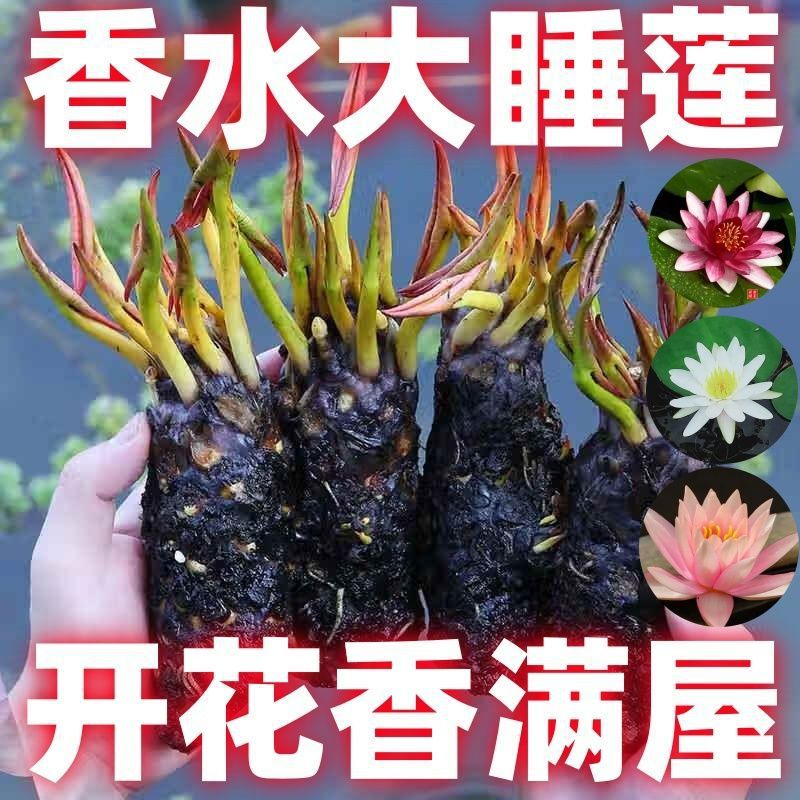 cb3ba8f1-36ca-4d7d-bbc3-bfbdbba0c347.jpe