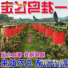 ��B���������Ғ���w���ͺ��㾫���@�r��B�s�B�o�r����վ