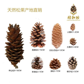 工艺原料;圣诞装饰品;栽培基质