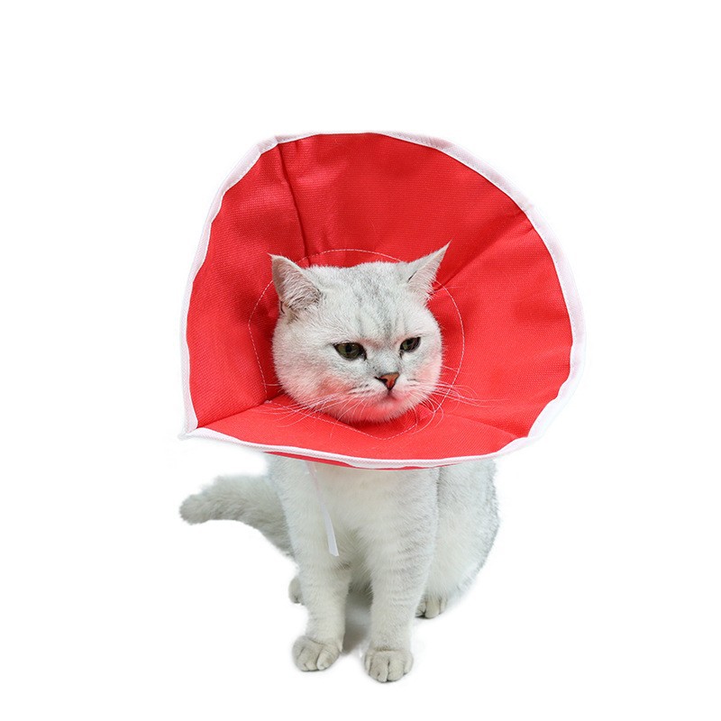 O1CN01bsYxAM1upRC01MUNE_!!9562