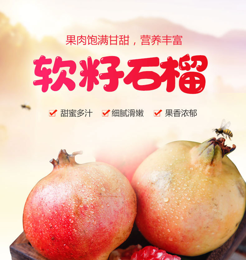 軟籽石榴_01