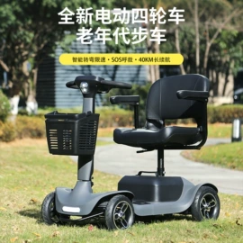 电动代步车;其他电动车;电动三轮车