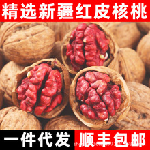 �½��tƤ����һ�����l��S���]���w���t�º��ҶY���b����M