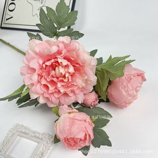 4�^ĵ�����滨��c�Ƶ�Ҿ�ܛ�bٻ��zӰ�������l�廨�^��