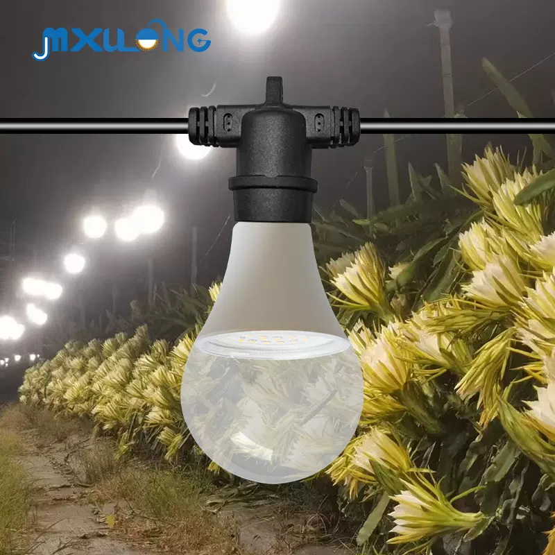 火龙果补光灯植物全光谱球泡灯植物生长灯led灯植物生长专用