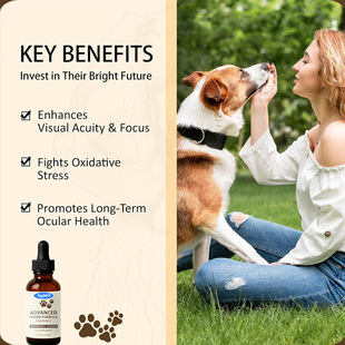 KineShineX�m���؈�͹��坍�o���۲��΄���Ҋ������;�����