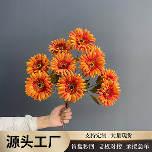 ���滨̫ꖻ����ʻ����޾վӼ��bٻ����Ô[�ň@ˇ���^���Ͳ廨