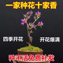 ��Ȼ̴�����ؔ�{����ɏ�������Ի����ϱ����ļ��Nֲ�ͺ���÷��x