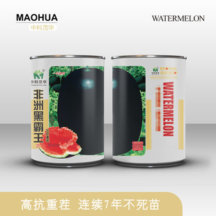 ï�A�� ˮ���߲˷N�� ����Ƥ��tȿ���ϷN�� �ڰ������� ���ز�