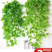 ֲ��G�}�ڒ���m�ٻ��ٗl�����Gֲ�҃��̨�͏d�������b�