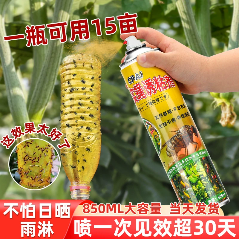 Дыни, плодовая муха, клейкая ловушка, фруктовая веревка, ловушка, фруктовый сад, оранжерея фруктовый сад, инсектицид, инсектицид, инсектицид, инсектицид, инсектицид, пчелиный аттрактат