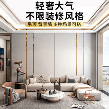 ��⁽��b��l���ٗl���P�u�Ͳ��X�Ͻ�t�ε���ҕ��������X20