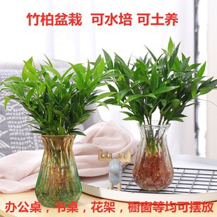 ����������ˮ�Bˮ��ˮ��ֲ���҃��������ԾGֲ�����ļ��������