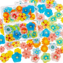 �羳����Ŵ�׿��������b� Ŵ��С�����b�決�b�Ŵ�׼��N��