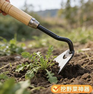 ���S���l�i䓼Ӻ��z���z�^ ��ʽ�N�������_���z�^ �r���ڵ�С�z�^