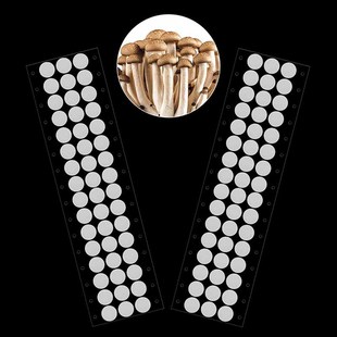 Tissue culture bottle cap breathable film waterproof EPTFE material breathable bacteria isolation belt adhesive instant adhesive