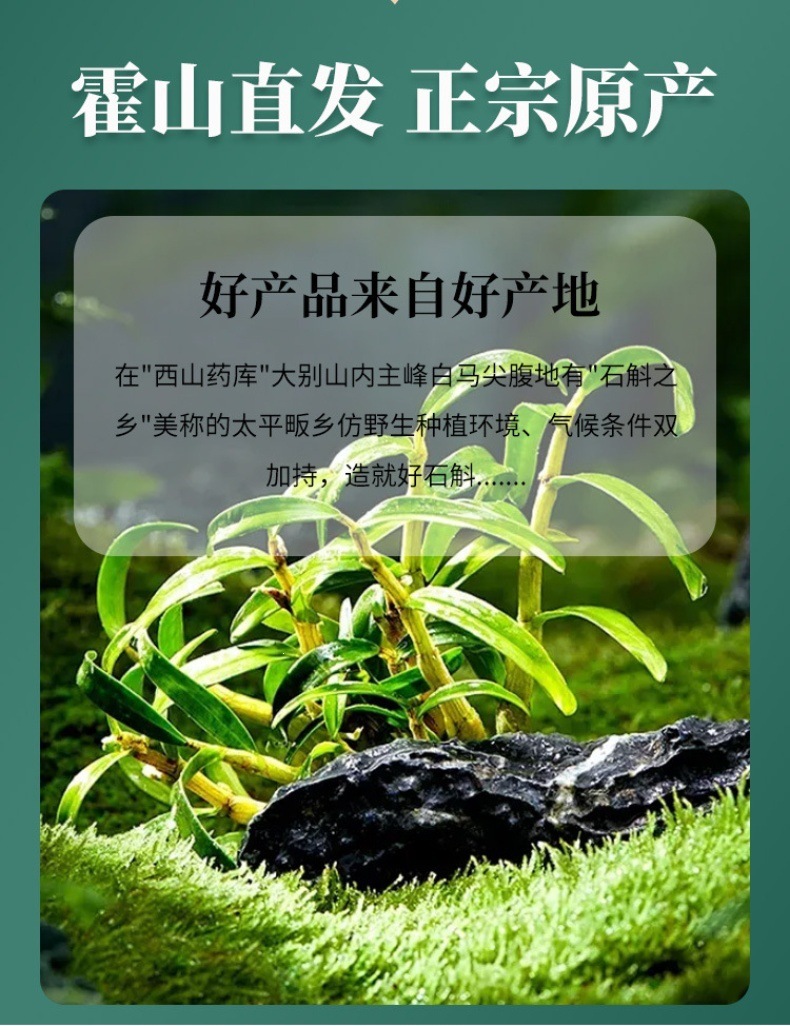 Tie Pi Shi Hu Fengdou Dendrobium Officinale Stems 500g Bottle Dried Herb for Tea and Cooking overview