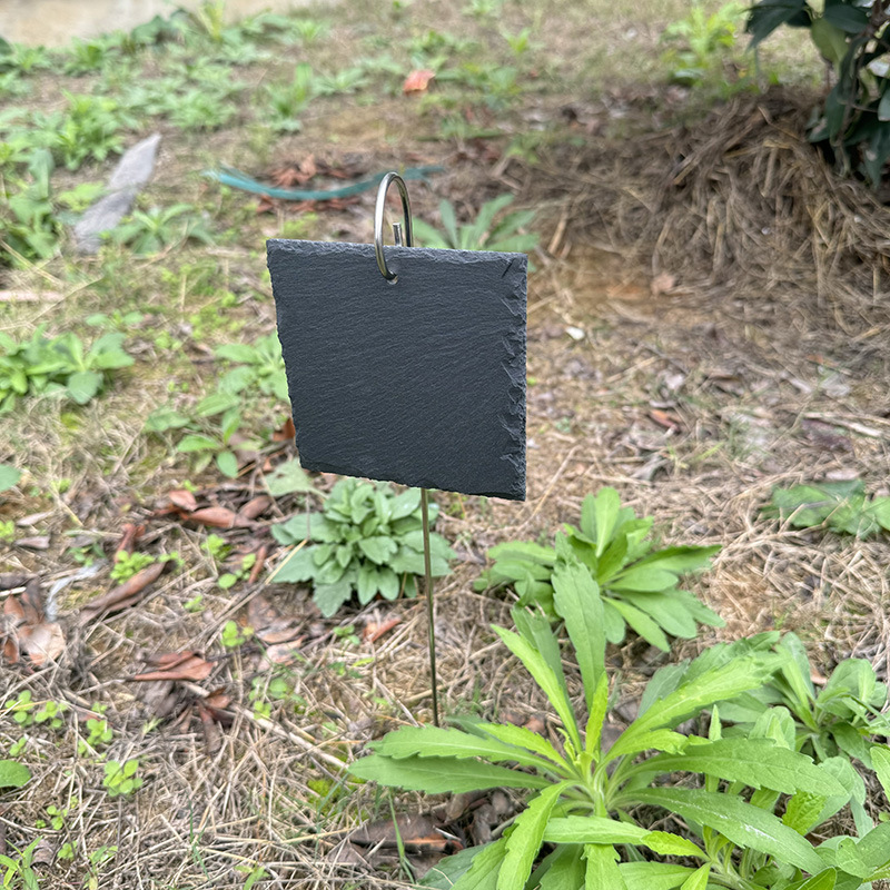 Suministro directo de fábrica de etiquetas de plantas, etiquetas de flores, etiquetas de árboles frutales, letreros de jardín de acero inoxidable, letreros de árboles de pizarra